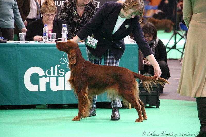 Crufts2011 415.jpg